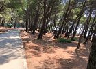 2016 08-IMG 8064 : Baska Voda, iPhone6s, semester, utomlands